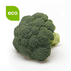 Brócoli Eco