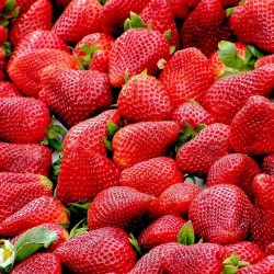 Fresas Eco