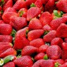 Fresas Eco