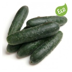 Pepino Eco