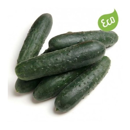 Pepino Eco